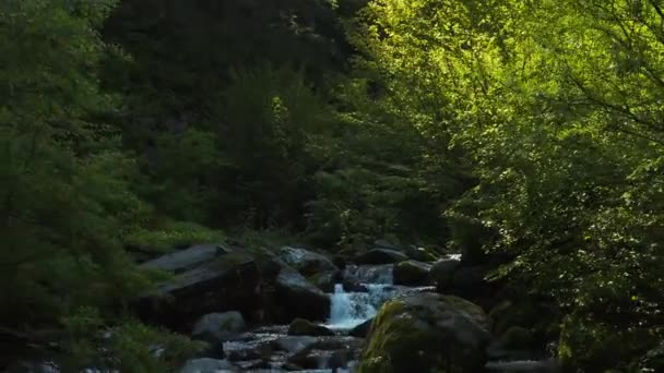 Verdant Nature Daisen National Park Aerial Pullback River — Vídeo de Stock