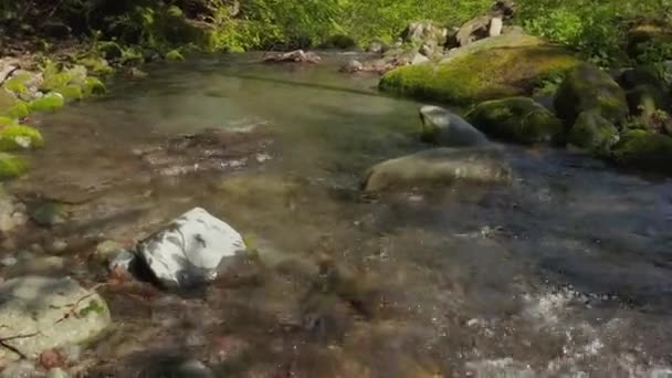 Reines Gebirgswasser Fließt Den Daisen Nationalpark Hinunter Tottori Japan — Stockvideo