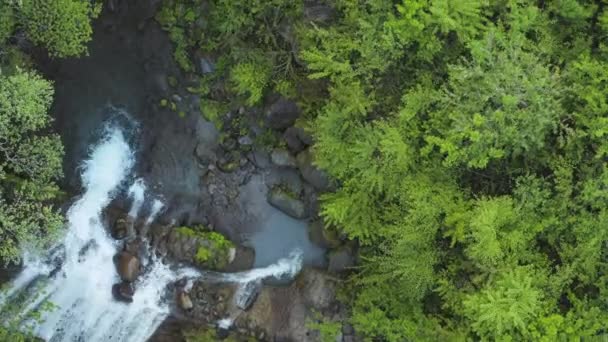 Wodospad Lesie Góry Daisen Widok Góry Dół Prefektura Tottori Japonia — Wideo stockowe