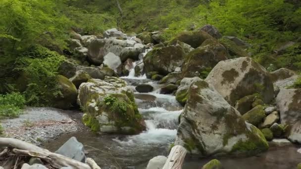 Πέτρες Καλυμμένες Αμμόλοφους Καθαρό Νερό Του Ποταμού Daisen Ιαπωνία — Αρχείο Βίντεο