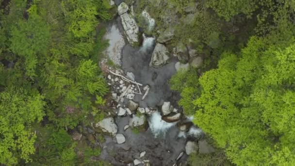 Flyger Över Floden Daisen Top View Från Tree Tops Förenta — Stockvideo