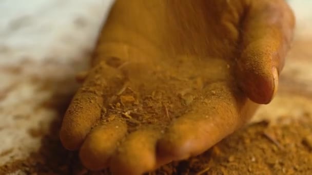 Dłonie Sprinkling Madder Proszku Podczas Procesu Produkcji Suszonych Korzeni Roślin — Wideo stockowe