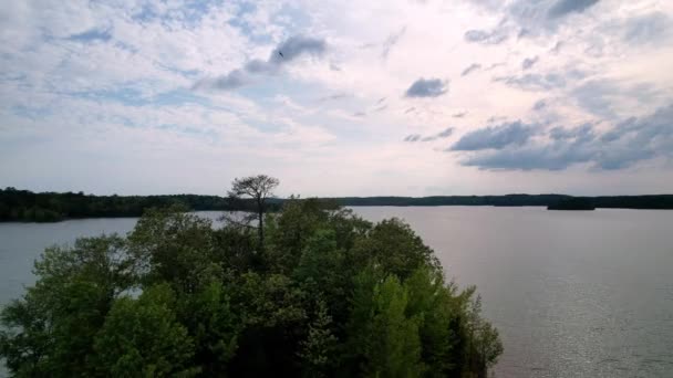 Lake Russell Reservoir Island Pullout Aerial — Stock video