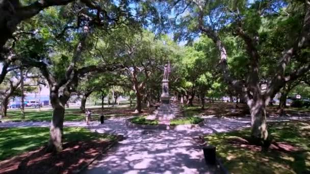 Aerail Zoom Statue Battery Park Charleston Τσάρλεστον Νότια Καρολίνα — Αρχείο Βίντεο