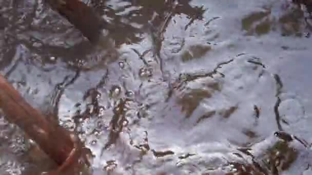 Makro Záběr Teplé Vody Během Procesu Barvení Organických Textilií Madder — Stock video