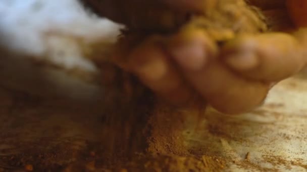 Macro Shot Hands Process Creating Madder Powder Dye Plant Roots — стокове відео