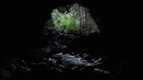 Dark Cave Aus Dem Inneren Einer Schwarzen Höhle Nach Außen — Stockvideo