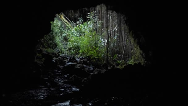 Grottans Utgång Från Insidan Kolsvart Grotta Ser Ljuset Som Kommer — Stockvideo