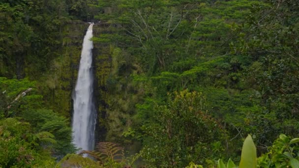 Hoher Wasserfall Inmitten Eines Üppig Grünen Dschungels Auflösung Ort Big — Stockvideo
