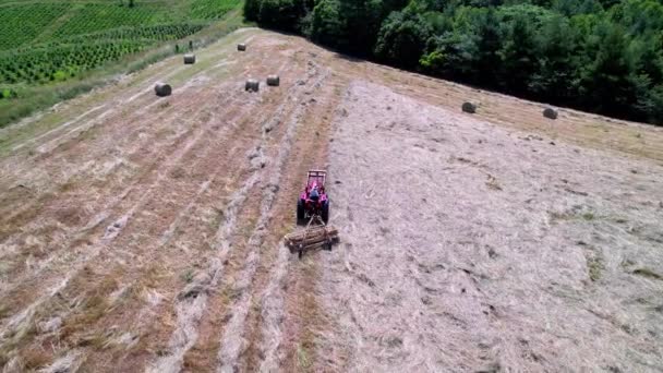 Hay Raked Farm Ashe County West Jefferson — стоковое видео