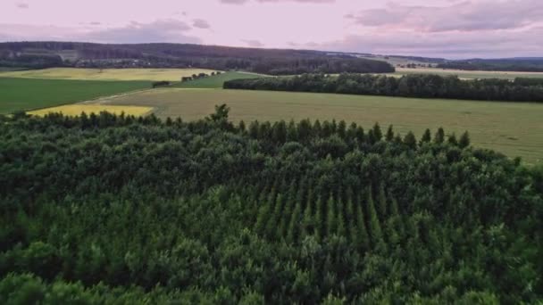 Letecký Pohled Dron Letící Nad Zelenou Zemědělskou Půdou Dron Farmách — Stock video