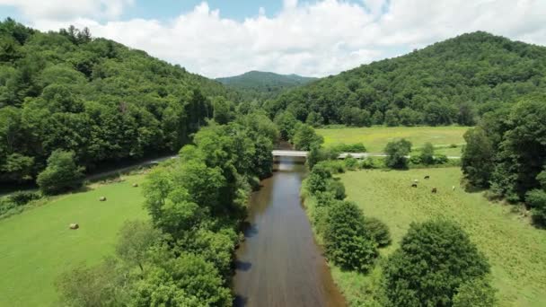 Nowa Rzeka Watauga County Karolina Północna Pobliżu Boone Blowing Rock — Wideo stockowe