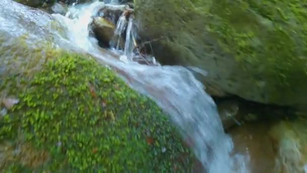 Close Push Mountain Forest River Εθνικό Πάρκο Daisen Ιαπωνία — Αρχείο Βίντεο