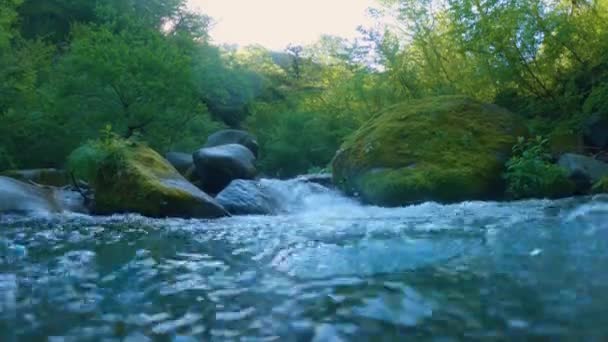 Daisen National Park River Φρέσκο Νερό Πάνω Από Πλαίσιο — Αρχείο Βίντεο