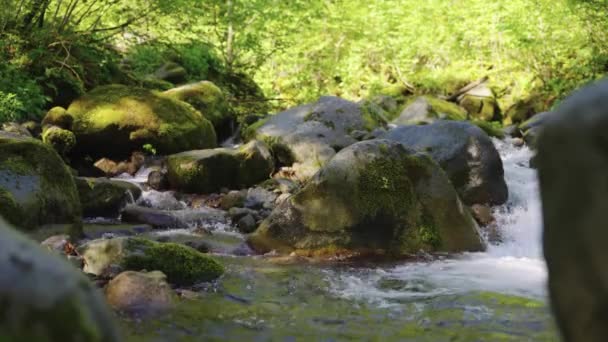 Mountain River Σκηνή Στο Tottori Της Ιαπωνίας Daisen National Park — Αρχείο Βίντεο