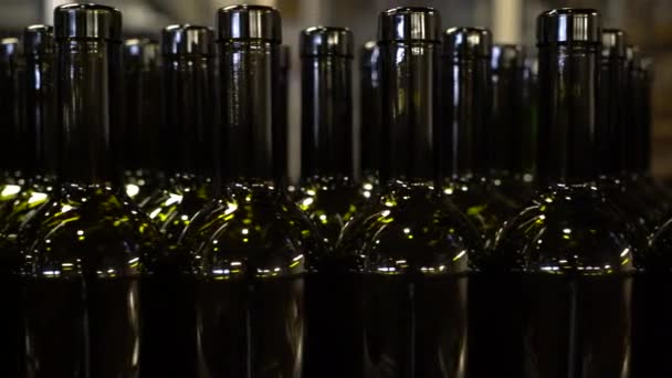 Botellas Vacías Moviéndose Una Cinta Transportadora Para Ser Llenadas Etiquetadas — Vídeos de Stock