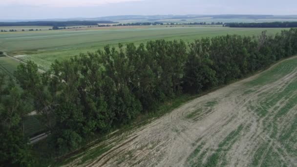 Imagens Drones Aéreos Deslizando Sobre Floresta Decídua Sobre Campos Agrícolas — Vídeo de Stock