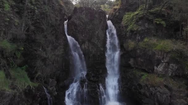 Skrytý Vodopád Krásném Rybníku Který Přeháňky Džungli Umístění Big Island — Stock video
