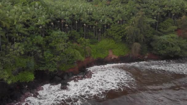 Ztracené Džungle Stojí Proti Šedým Vlnám Oceánu Černému Písku Umístění — Stock video