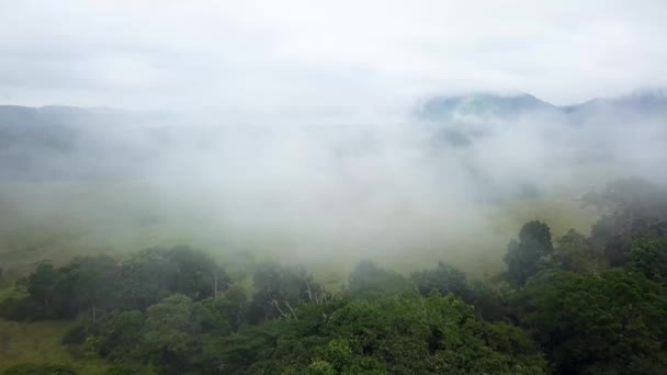 アフリカのガボンの熱帯雨林上空の霧の空の空中撮影 — ストック動画