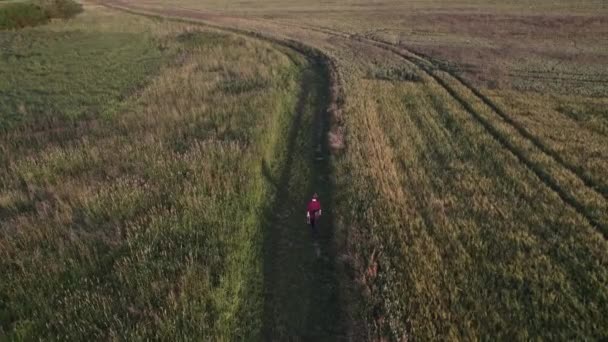 Overhead View Man Walking Fields Scenic Rural Road Svitavy Czech — Stock Video