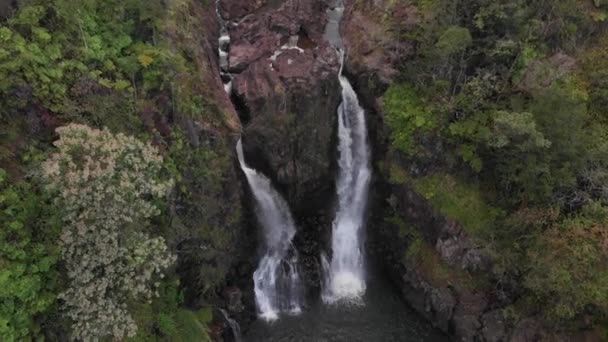 Water Falls Van Boven Een Jungle Rotsformatie Het Hawaiiaanse Rijk — Stockvideo