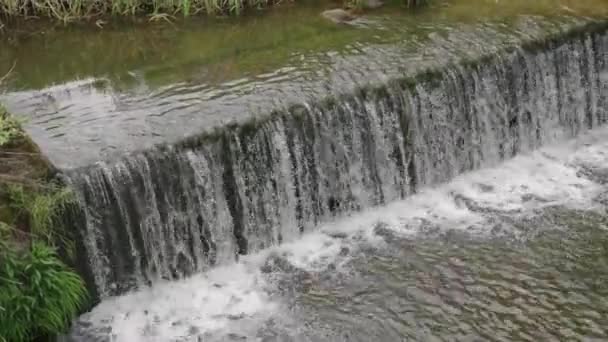 Ποταμός Weir Στην Ύπαιθρο Της Daisen Ιαπωνία — Αρχείο Βίντεο