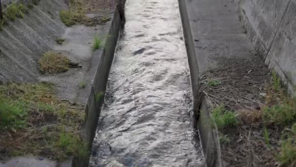 Canal Drenaje Granja Arroz Japonesa Que Fluye Agua Dulce Desde — Vídeos de Stock