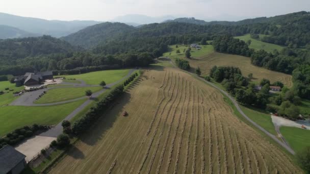 Hayfield Tir Haut Dans Comté Watauga Nord Caroline Aérienne — Video