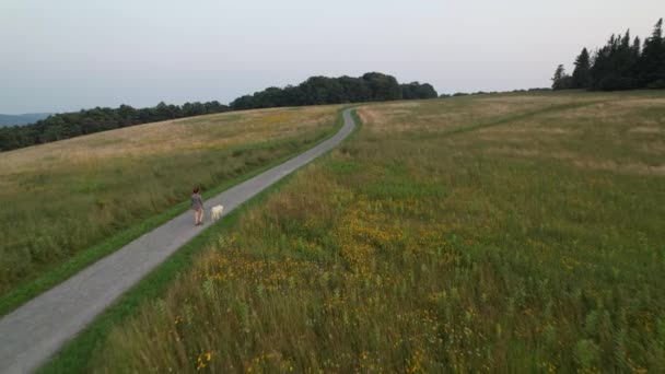 Kvinna Vandrar Vitt Labb Stig Blå Berg — Stockvideo