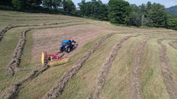 Aerial Push Hay Being Raked Tractor Boone North Carolina — Stock Video