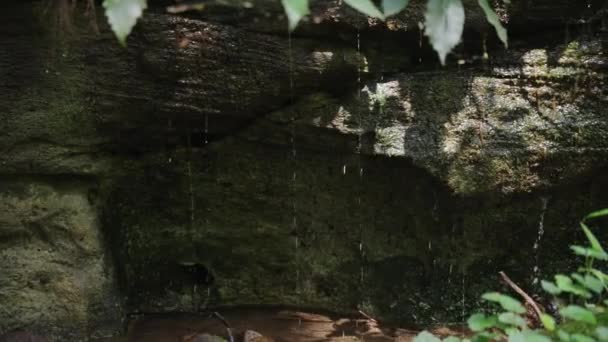 Βουνό Νερό Πηγής Στάζει Από Βράχους Στο Ποτάμι Daisen Tottori — Αρχείο Βίντεο