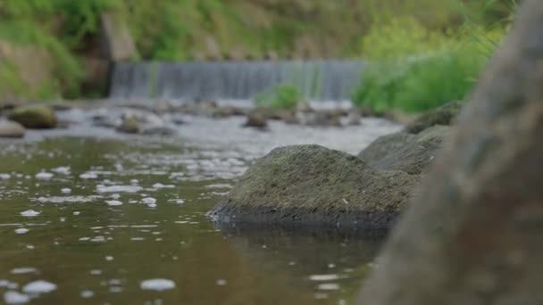 Weir Χτισμένο Αγροτικό Ποτάμι Στην Tottori Της Ιαπωνίας Rack Focus — Αρχείο Βίντεο