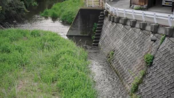 Αγροτική Ιαπωνική Πόλη Ποτάμι Και Weir Daisen Town Tottori Ιαπωνία — Αρχείο Βίντεο