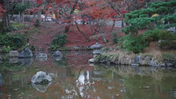 Podzimní Scéna Kjótu Japonsko Červené Javory Odráží Rybníku — Stock video