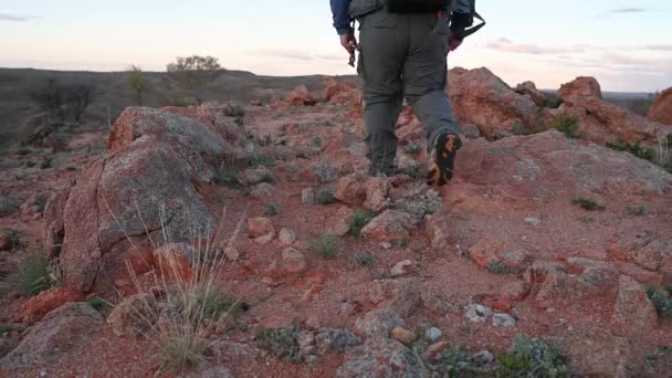 Hombre Caminando Plantas Del Desierto Florecientes Outback Australia — Vídeos de Stock