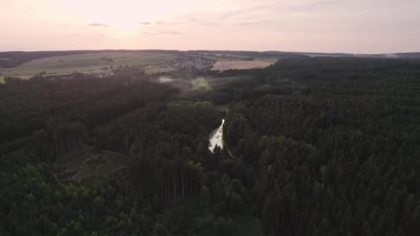 Zbor Drona Deasupra Rezervorului Retenție Mijlocul Pădurii Care Zboară Spre — Videoclip de stoc