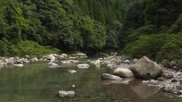 Tranquil Mountain Stream Seki Gifu Ιαπωνία Τραβήξτε Προς Πίσω Βολή — Αρχείο Βίντεο