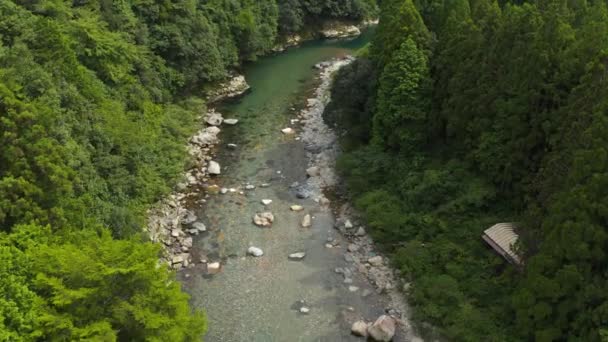 Volare Lungo Fiume Itadori Gifu Bellezza Paesaggistica Naturale Del Giappone — Video Stock