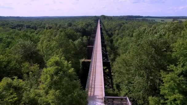 Vysoký Most Farmville Virginia — Stock video