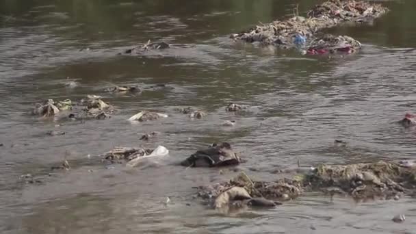 Rifiuti Spazzatura Gettati Nel Fiume Una Destinazione Baraccopoli Pakistan — Video Stock