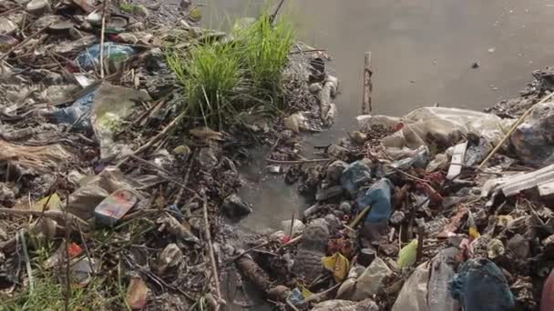 ゴミ捨て場排水汚染川の水 地球温暖化と環境問題 — ストック動画