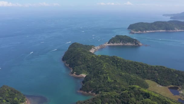 Veduta Aerea Tomogashima Nel Mare Interno Del Giappone Prefettura Wakayama — Video Stock