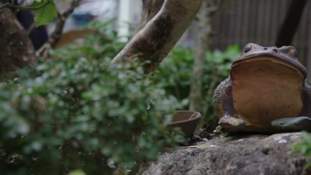 Japanska Trädgårdar Grodstaty Sten Avkopplande Uji Scen — Stockvideo