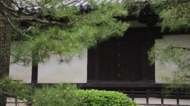 Japanischer Tempelhintergrund Pan Über Außen Und Kiefern — Stockvideo