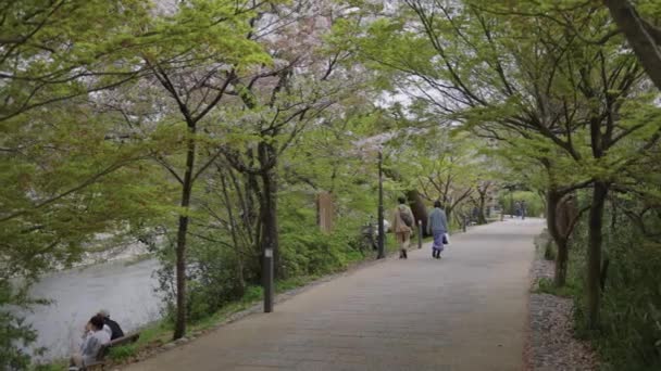 Taman Uji Riverside Springtime Kyoto Jepang Pada Hari Yang Hangat — Stok Video