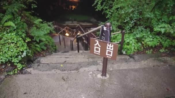 雨の中の青木ヶ原溶岩洞窟入口 富士山 — ストック動画