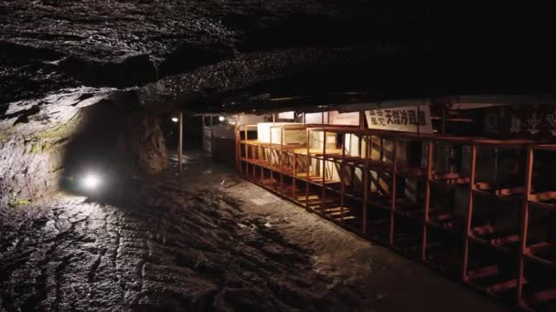 Oud Japans Voedselopslagsysteem Aokigahara Lava Caves — Stockvideo