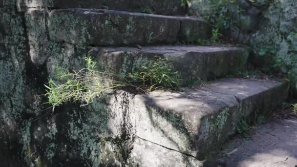 Ruïnes Van Stenen Treden Tomogashima Island Wakayama Japan — Stockvideo