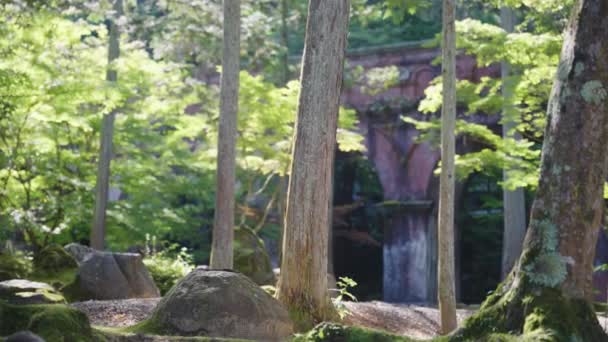 Υδραγωγείο Suirokaku Στο Κιότο Γαλήνιο Πρωινό Του Φθινοπώρου — Αρχείο Βίντεο